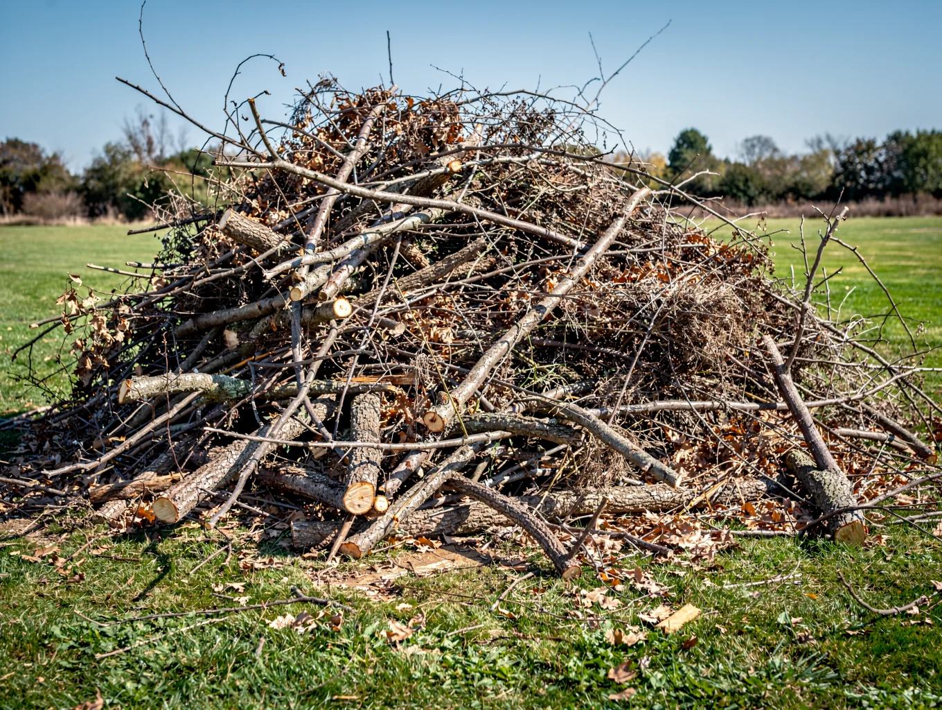 Large pile of trimmed branches, sticks, and landscaping brush debris